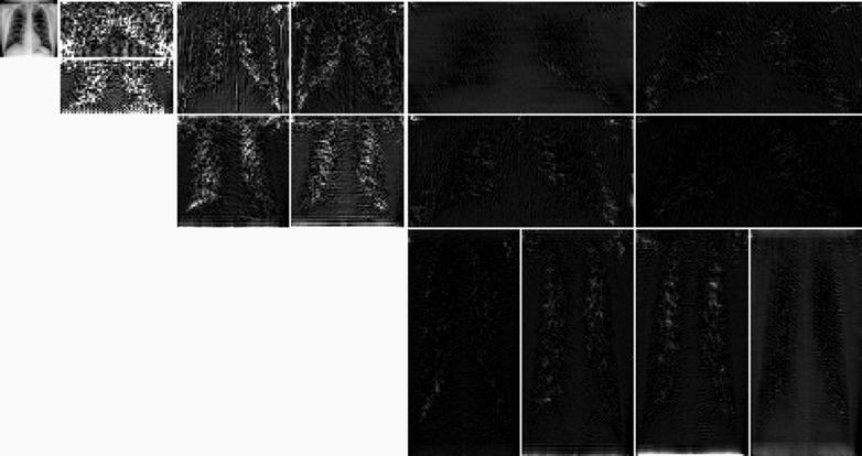 https://cdn.ncbi.nlm.nih.gov/pmc/blobs/3ef3/7524980/fdab31098472/13755_2020_116_Fig8_HTML.jpg