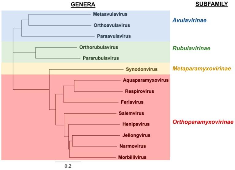 https://cdn.ncbi.nlm.nih.gov/pmc/blobs/3ef4/7077268/edbb2a9abae3/viruses-12-00161-g001.jpg
