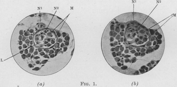 https://cdn.ncbi.nlm.nih.gov/pmc/blobs/3ef6/2045888/6f5ac3060e9b/procrsmed00853-0089-a.jpg