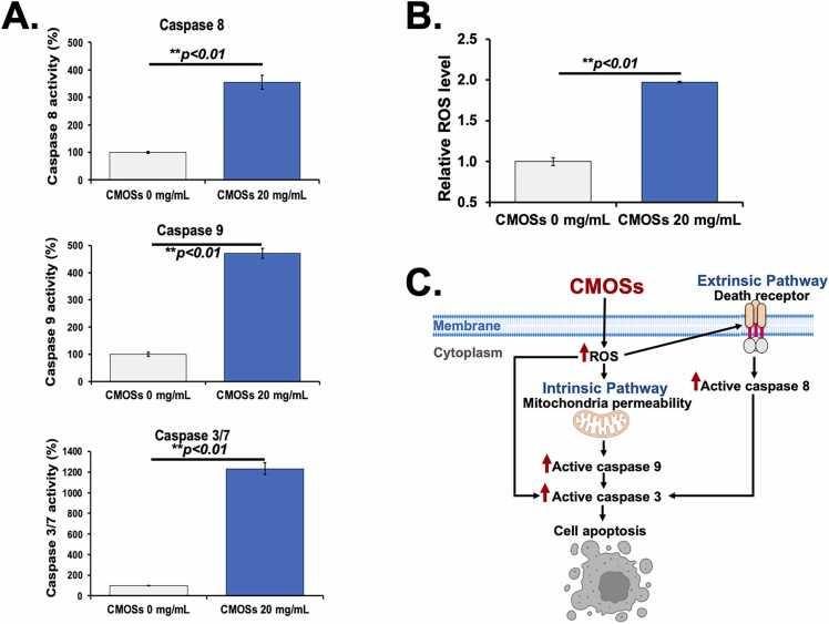 https://cdn.ncbi.nlm.nih.gov/pmc/blobs/3ef7/10801218/64b9415d71f2/gr4.jpg