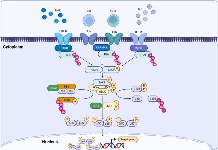 https://cdn.ncbi.nlm.nih.gov/pmc/blobs/3ef7/11226910/a23d2c676883/gr3.jpg