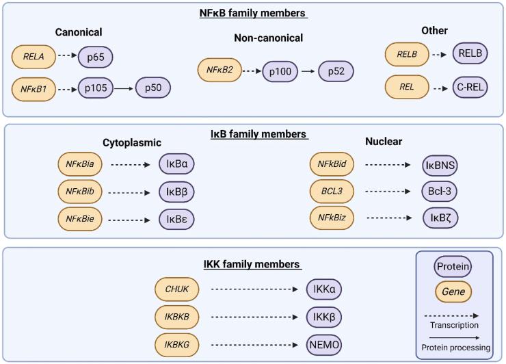 https://cdn.ncbi.nlm.nih.gov/pmc/blobs/3ef7/11226910/e6ee408ac7d2/gr2.jpg