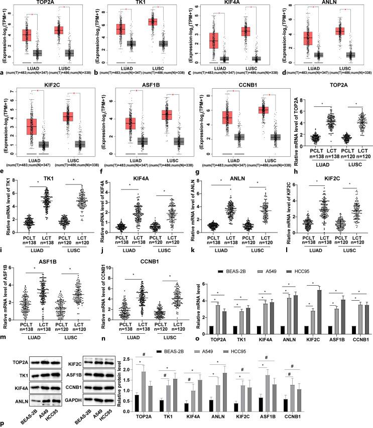 https://cdn.ncbi.nlm.nih.gov/pmc/blobs/3ef7/12065997/07b48434671b/mpp-2023-0000-0000-533891_F06.jpg