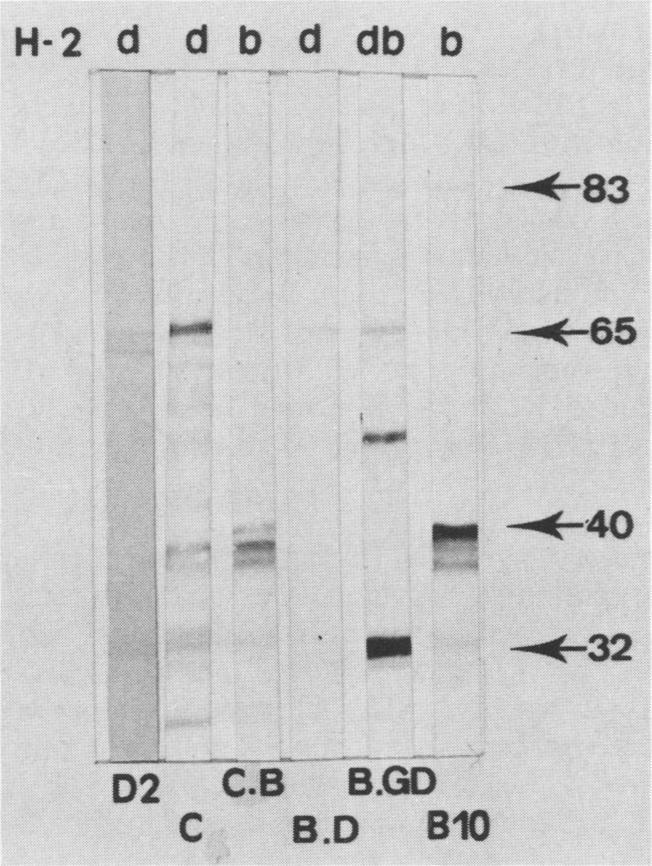 https://cdn.ncbi.nlm.nih.gov/pmc/blobs/3ef8/258796/879ba6d66ac1/iai00055-0181-b.jpg