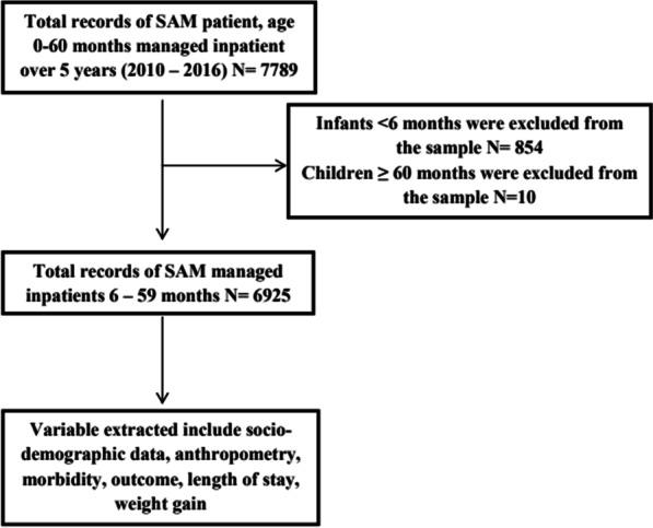 https://cdn.ncbi.nlm.nih.gov/pmc/blobs/3efa/9936680/76a621a37dbd/41043_2023_352_Fig1_HTML.jpg