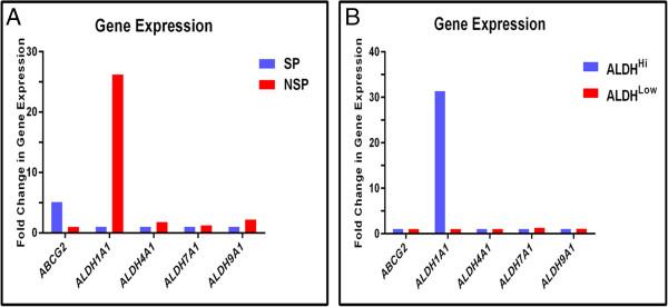https://cdn.ncbi.nlm.nih.gov/pmc/blobs/3efc/3854760/fe4edb7dc542/scrt343-6.jpg