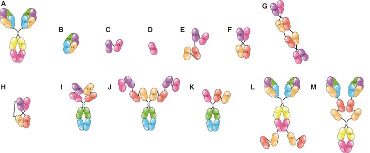 https://cdn.ncbi.nlm.nih.gov/pmc/blobs/3efd/6463744/ab803bb9e0fa/gr1.jpg