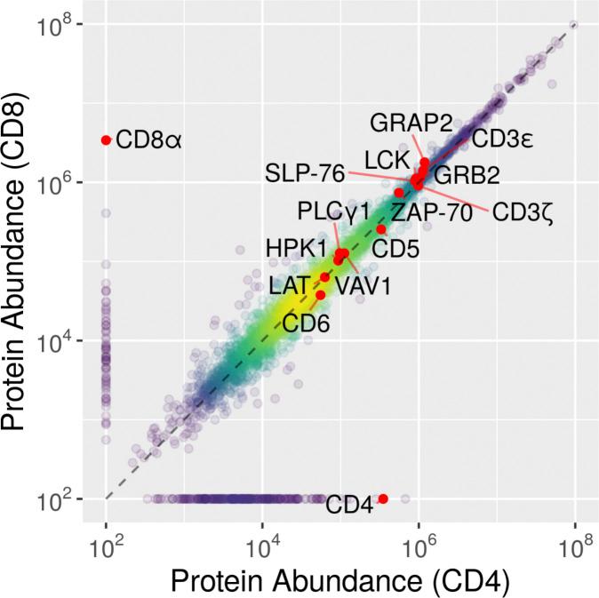 https://cdn.ncbi.nlm.nih.gov/pmc/blobs/3efd/8789201/495491fd496d/JEM_20211295_FigS4.jpg