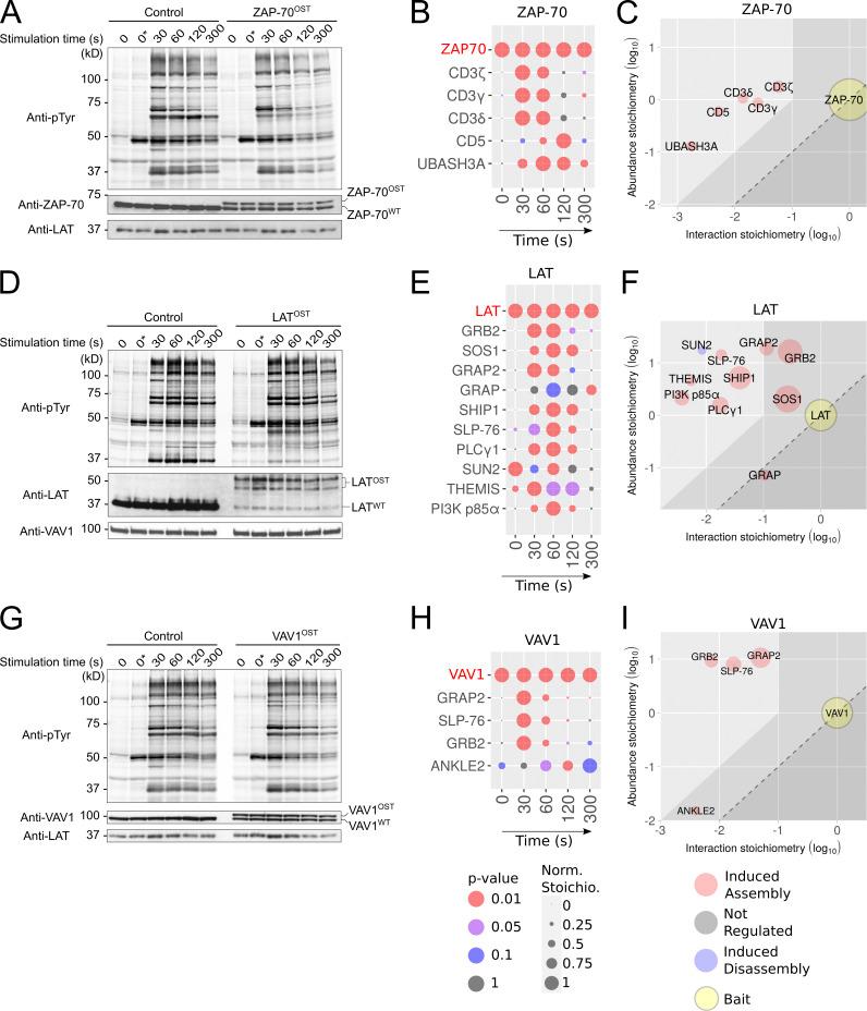 https://cdn.ncbi.nlm.nih.gov/pmc/blobs/3efd/8789201/ac463d09ff10/JEM_20211295_Fig4.jpg