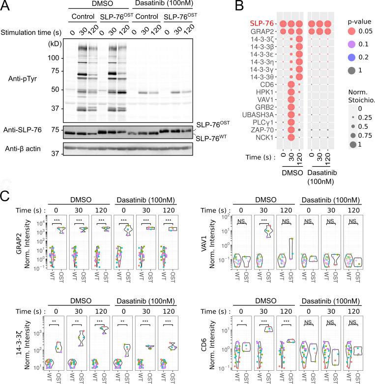 https://cdn.ncbi.nlm.nih.gov/pmc/blobs/3efd/8789201/f09fa6190484/JEM_20211295_Fig3.jpg