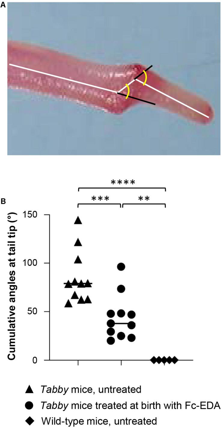 https://cdn.ncbi.nlm.nih.gov/pmc/blobs/3efe/8385758/b3c030227b18/fgene-12-709736-g005.jpg
