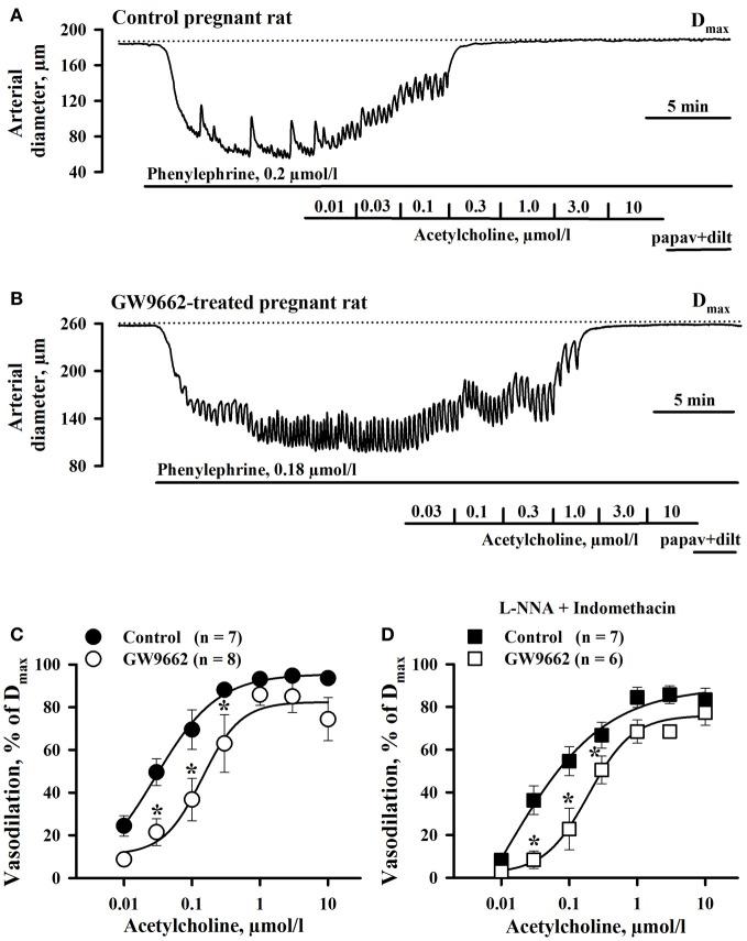 https://cdn.ncbi.nlm.nih.gov/pmc/blobs/3eff/3719025/9550b77f12b0/fphys-04-00184-g0002.jpg