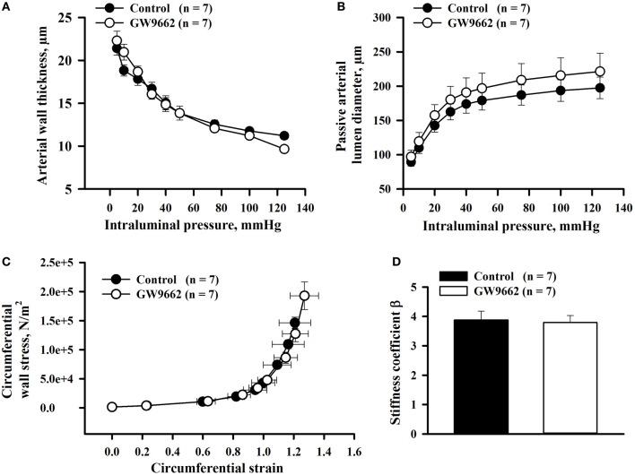 https://cdn.ncbi.nlm.nih.gov/pmc/blobs/3eff/3719025/fbfb2c14c4d7/fphys-04-00184-g0004.jpg