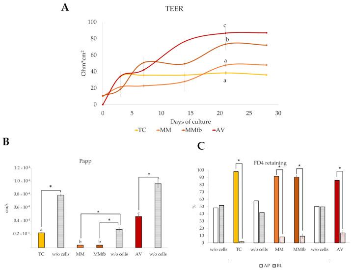 https://cdn.ncbi.nlm.nih.gov/pmc/blobs/3f00/10377977/b2418350b499/cells-12-01843-g015.jpg