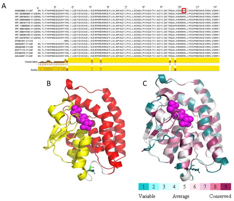 https://cdn.ncbi.nlm.nih.gov/pmc/blobs/3f02/7762576/559cd66ef76c/ijms-21-09341-g002.jpg