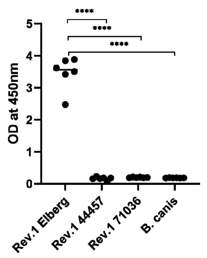 https://cdn.ncbi.nlm.nih.gov/pmc/blobs/3f02/7762576/e131163d1748/ijms-21-09341-g004.jpg
