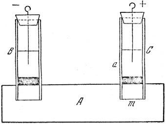 https://cdn.ncbi.nlm.nih.gov/pmc/blobs/3f02/8247933/8512a8336858/ELPS-42-834-g005.jpg