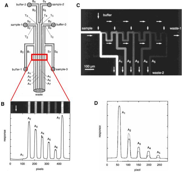 https://cdn.ncbi.nlm.nih.gov/pmc/blobs/3f02/8247933/c1c029280c1b/ELPS-42-834-g040.jpg