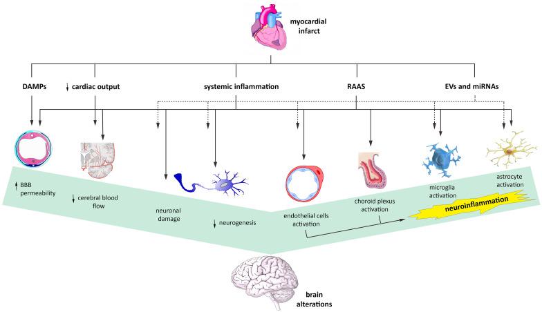https://cdn.ncbi.nlm.nih.gov/pmc/blobs/3f03/8724191/a4a97f3bd4d7/109_2021_2154_Fig1_HTML.jpg