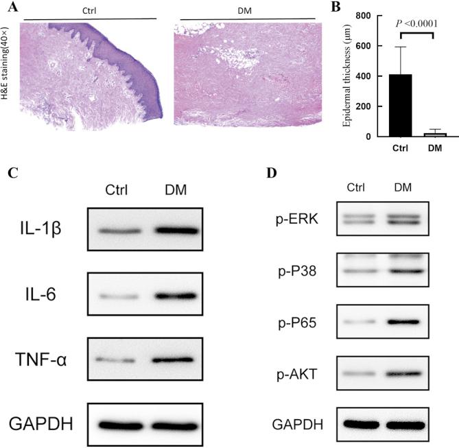 https://cdn.ncbi.nlm.nih.gov/pmc/blobs/3f04/12037093/5900965d7263/cm9-138-0973-g005.jpg