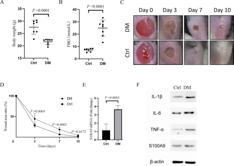 https://cdn.ncbi.nlm.nih.gov/pmc/blobs/3f04/12037093/ad884583fc5a/cm9-138-0973-g006.jpg