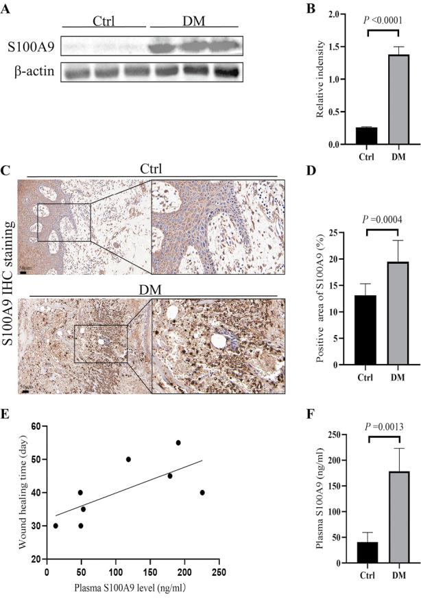 https://cdn.ncbi.nlm.nih.gov/pmc/blobs/3f04/12037093/ffe6ae5c814d/cm9-138-0973-g003.jpg