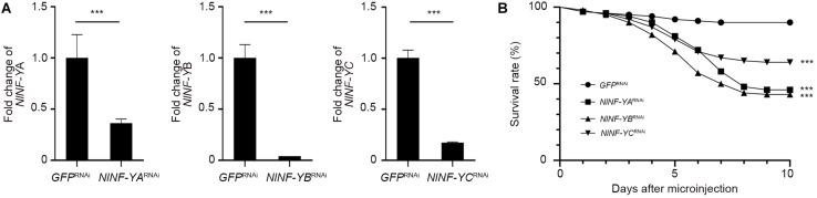 https://cdn.ncbi.nlm.nih.gov/pmc/blobs/3f04/7670041/facfab75ac2a/fgene-11-585320-g003.jpg