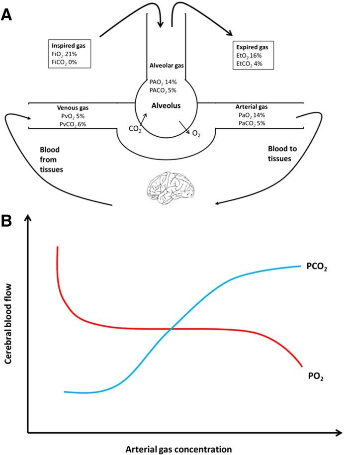 https://cdn.ncbi.nlm.nih.gov/pmc/blobs/3f06/4901170/d16d5c1103f6/gr1.jpg