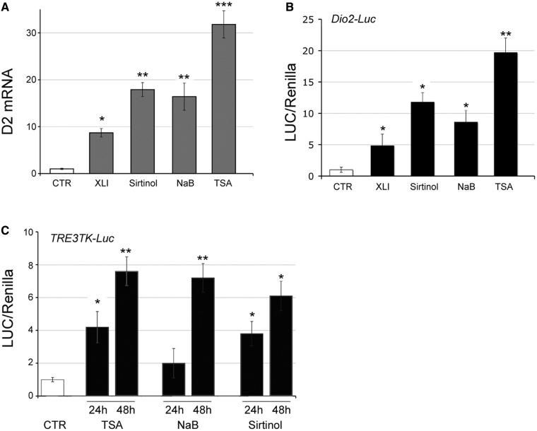 https://cdn.ncbi.nlm.nih.gov/pmc/blobs/3f08/3616708/c45e28b02569/gkt065f1p.jpg