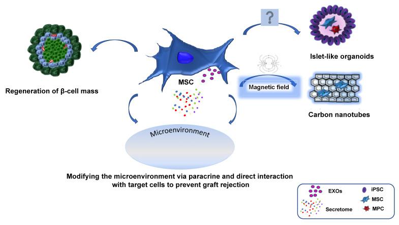 https://cdn.ncbi.nlm.nih.gov/pmc/blobs/3f0a/10216083/9f116e1bd322/biomedicines-11-01426-g002.jpg