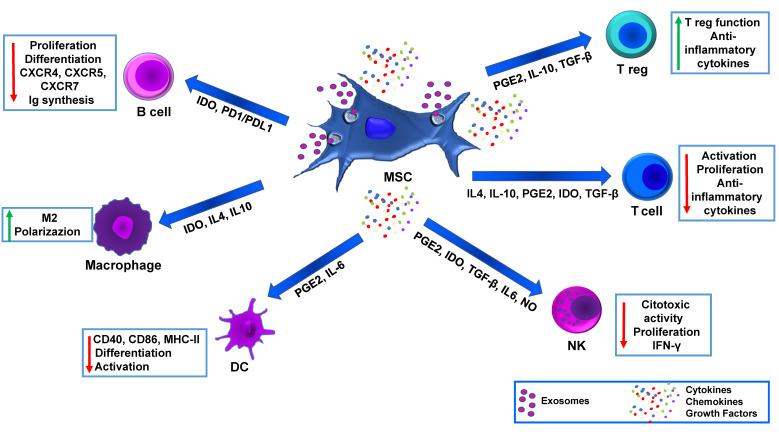 https://cdn.ncbi.nlm.nih.gov/pmc/blobs/3f0a/10216083/f7b4ee6edd50/biomedicines-11-01426-g001.jpg