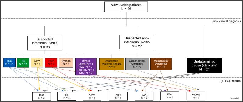 https://cdn.ncbi.nlm.nih.gov/pmc/blobs/3f0a/9573923/bafce3b2aa58/gr1.jpg