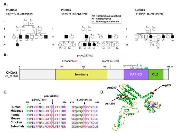 https://cdn.ncbi.nlm.nih.gov/pmc/blobs/3f0b/9031457/8fdc98086ce9/genes-13-00617-g001.jpg