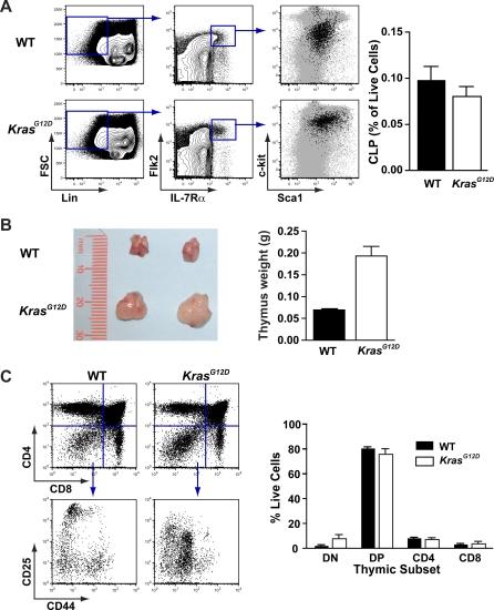 https://cdn.ncbi.nlm.nih.gov/pmc/blobs/3f0c/2661953/8dd3ae33134d/pbio.1000059.g008.jpg