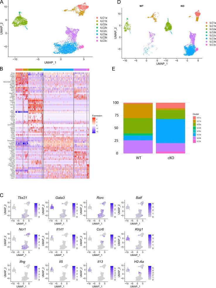 https://cdn.ncbi.nlm.nih.gov/pmc/blobs/3f0c/9440727/7d5261cab619/JEM_20211861_FigS4.jpg