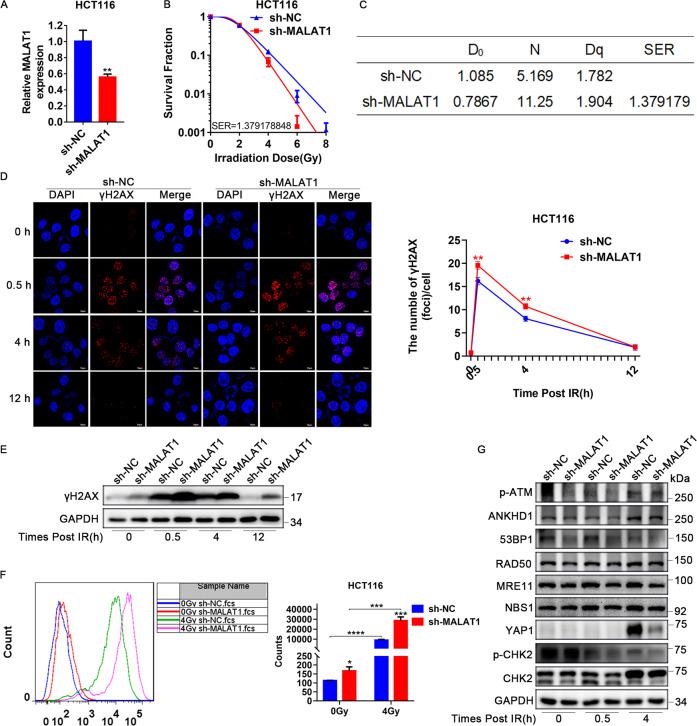 https://cdn.ncbi.nlm.nih.gov/pmc/blobs/3f0d/8810793/2f2841f6dfae/41419_2022_4554_Fig3_HTML.jpg