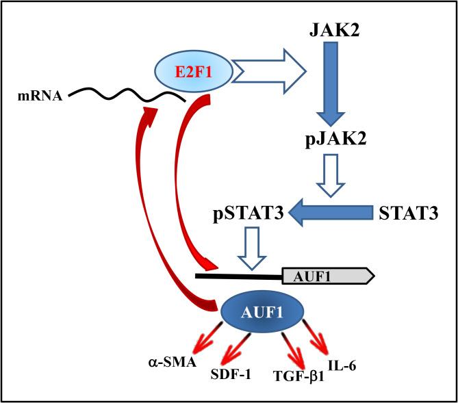 https://cdn.ncbi.nlm.nih.gov/pmc/blobs/3f0e/11794577/3410df048bfa/41598_2025_87808_Fig8_HTML.jpg