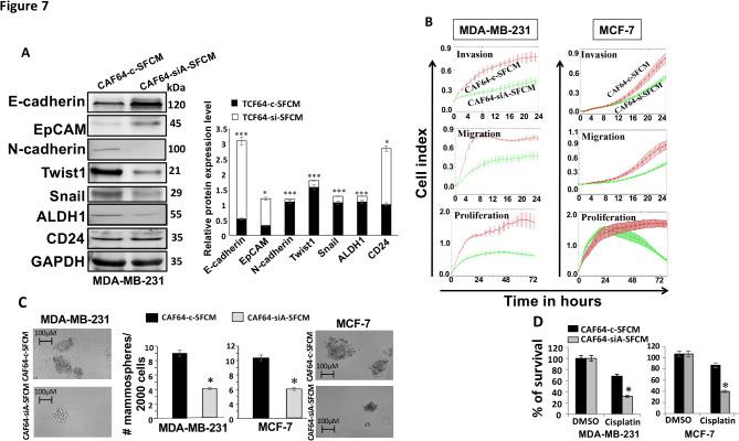 https://cdn.ncbi.nlm.nih.gov/pmc/blobs/3f0e/11794577/421debe82471/41598_2025_87808_Fig7_HTML.jpg