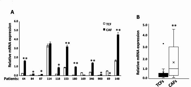 https://cdn.ncbi.nlm.nih.gov/pmc/blobs/3f0e/11794577/d6e11f87fc80/41598_2025_87808_Fig1_HTML.jpg