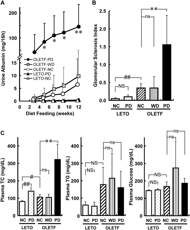 https://cdn.ncbi.nlm.nih.gov/pmc/blobs/3f0f/4659596/31dfb6ee493a/pone.0143979.g001.jpg
