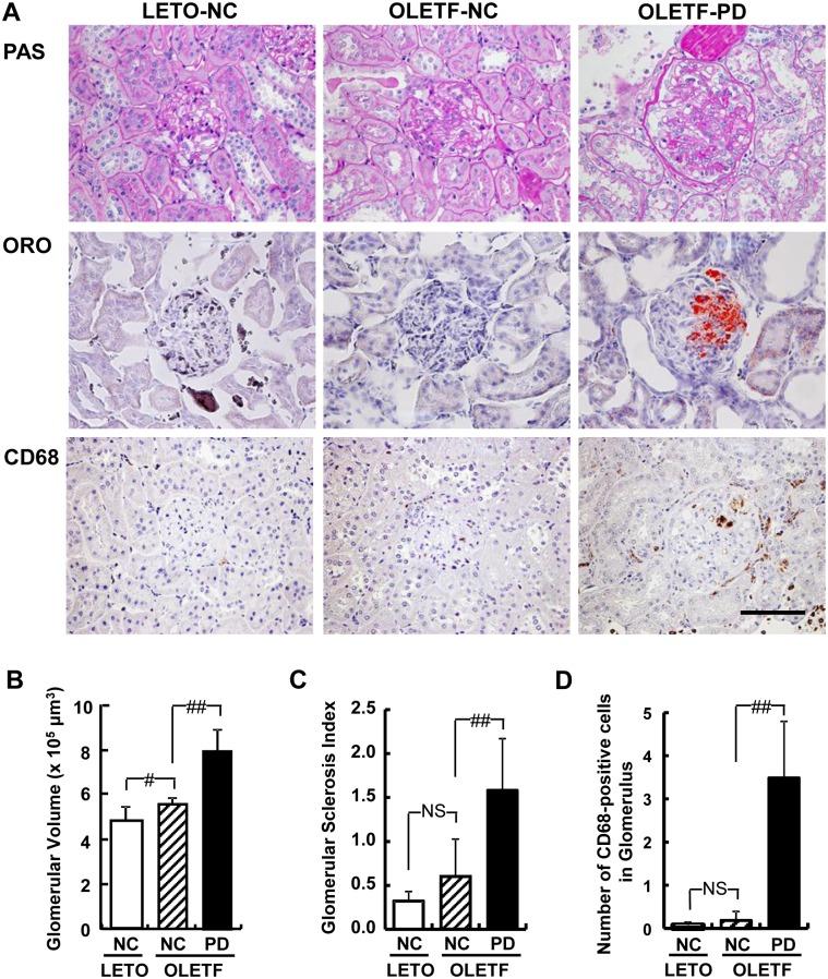 https://cdn.ncbi.nlm.nih.gov/pmc/blobs/3f0f/4659596/d7ff00523550/pone.0143979.g005.jpg