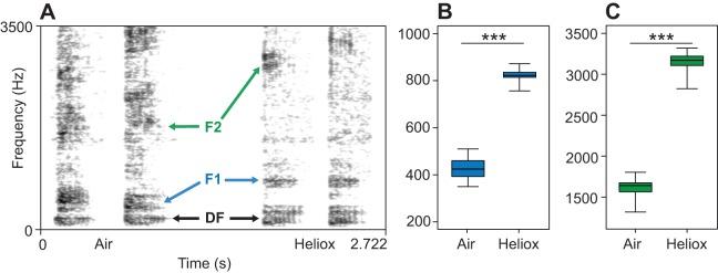 https://cdn.ncbi.nlm.nih.gov/pmc/blobs/3f11/4528706/88edabcd0e77/jexbio-218-119552-g1.jpg