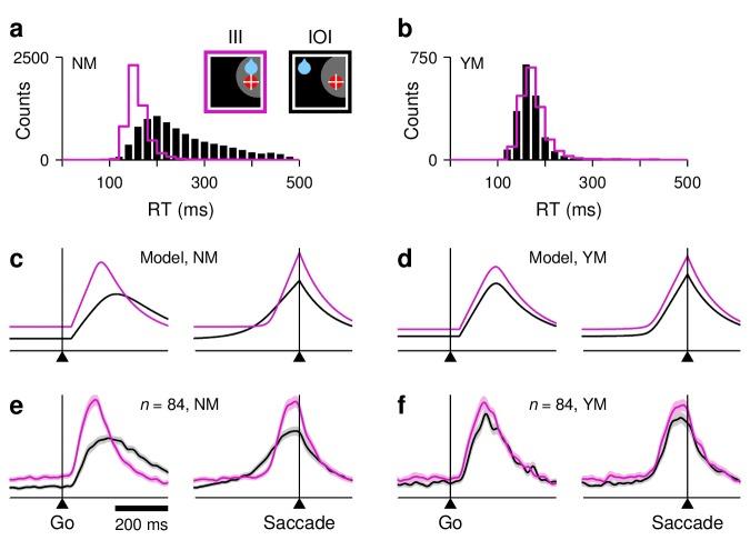 https://cdn.ncbi.nlm.nih.gov/pmc/blobs/3f13/5947991/572c473e24f9/elife-33456-fig6.jpg