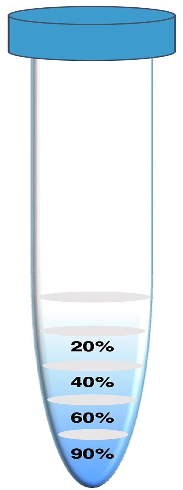 https://cdn.ncbi.nlm.nih.gov/pmc/blobs/3f14/10032484/7c233dd6d057/pone.0282216.g002.jpg