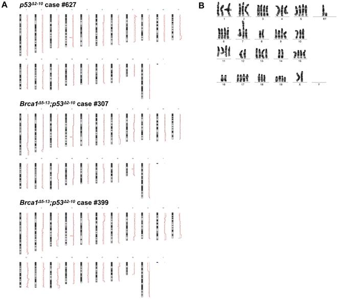 https://cdn.ncbi.nlm.nih.gov/pmc/blobs/3f14/2796165/3fed3db172bb/pone.0008404.g004.jpg