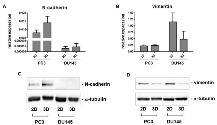 https://cdn.ncbi.nlm.nih.gov/pmc/blobs/3f15/6406374/74293d058743/cells-08-00143-g005.jpg