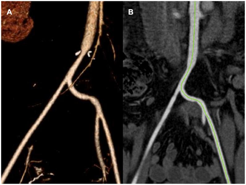 https://cdn.ncbi.nlm.nih.gov/pmc/blobs/3f17/11420477/c77ec2cfadaa/gr3.jpg