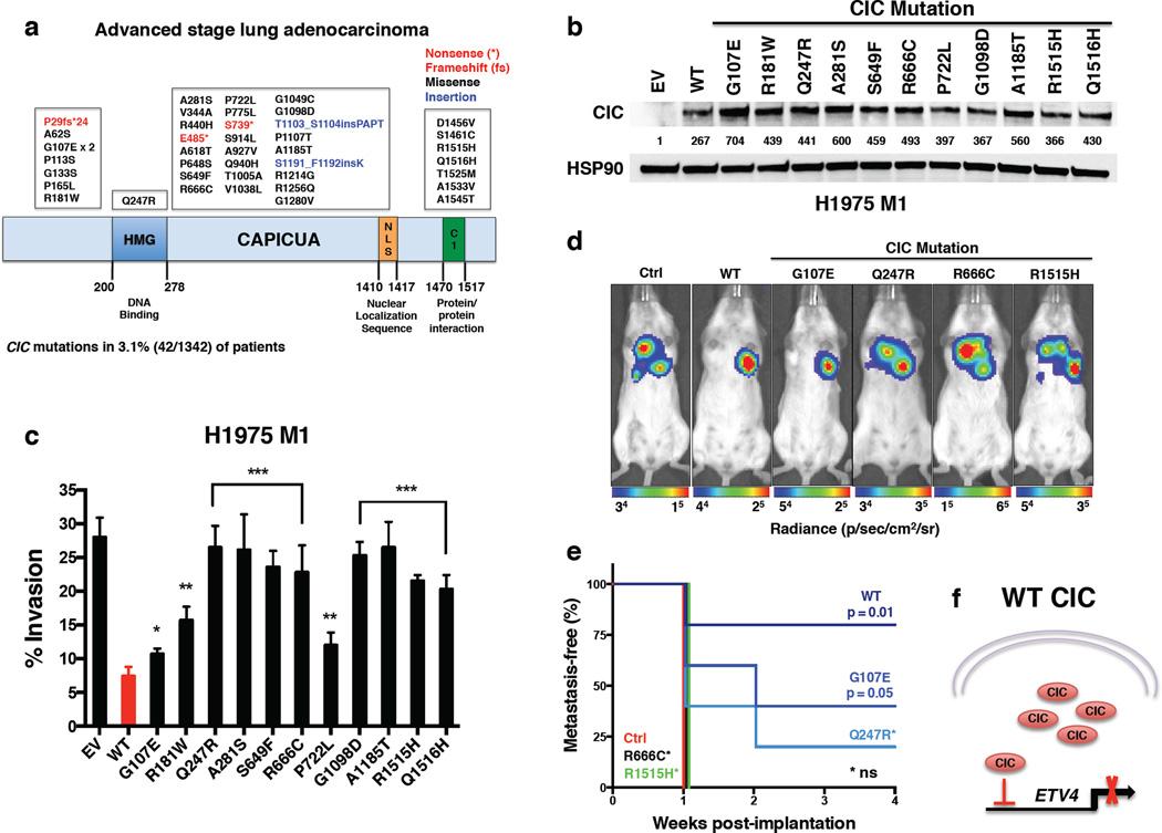 https://cdn.ncbi.nlm.nih.gov/pmc/blobs/3f17/5195898/8366b36f18cc/nihms825571f2.jpg