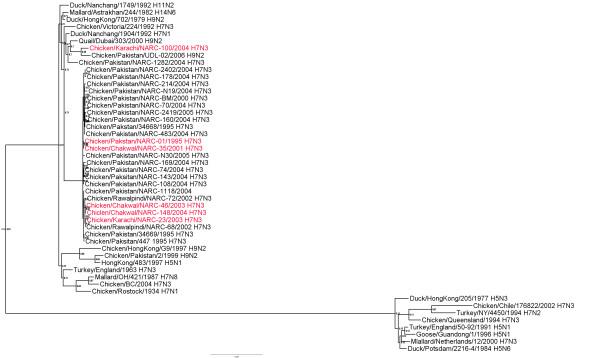 https://cdn.ncbi.nlm.nih.gov/pmc/blobs/3f18/2901269/a670730c93ae/1743-422X-7-137-3.jpg