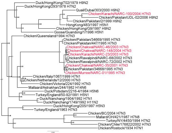 https://cdn.ncbi.nlm.nih.gov/pmc/blobs/3f18/2901269/bbba9ed9c6e6/1743-422X-7-137-4.jpg